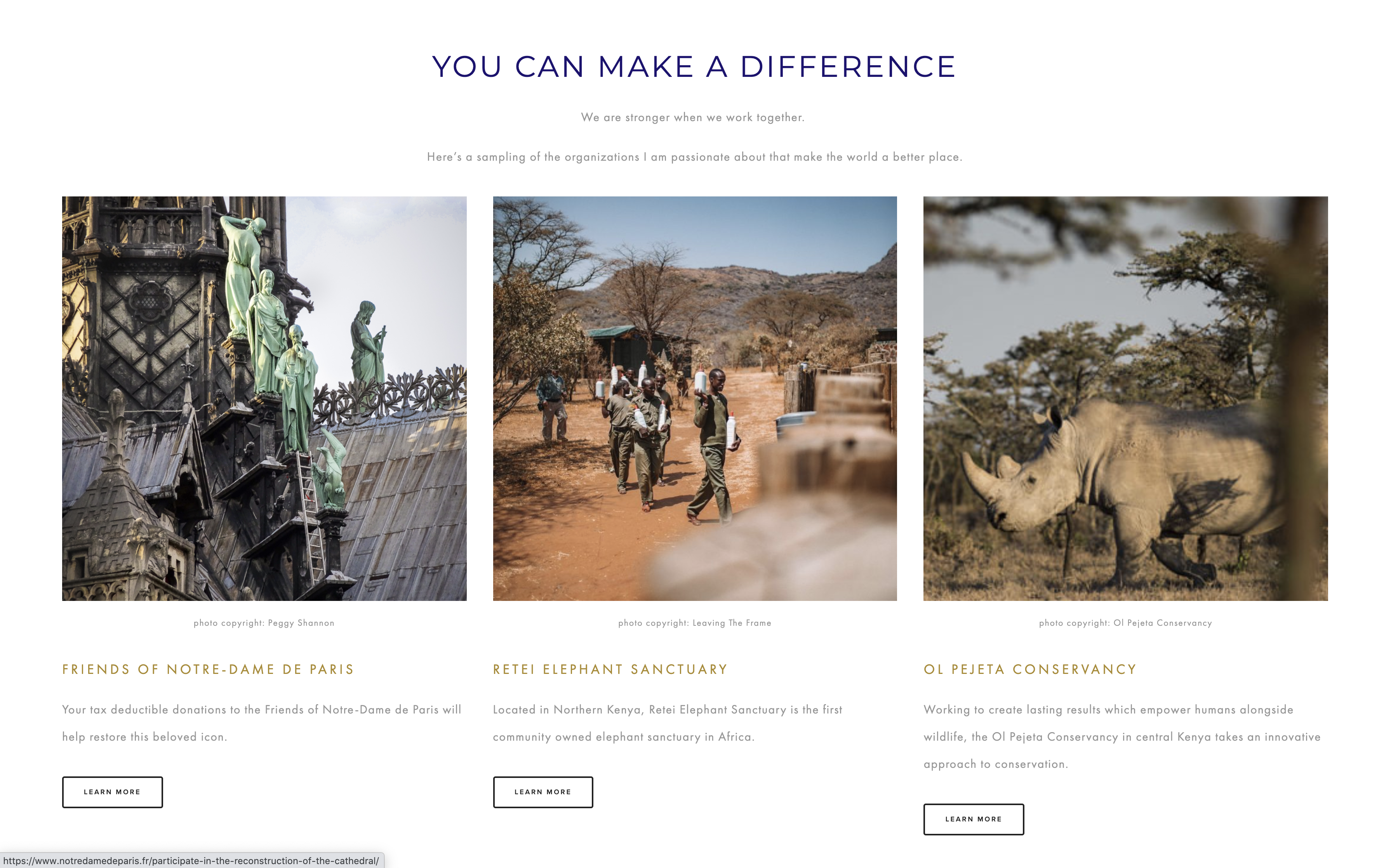 photo of client's webpage